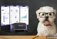 Manage Dog Separation Anxiety When You Return to Work or School