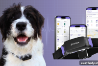 Canine Vital Signs Monitoring for Smarter Dog Care
