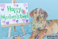 Dog Moms: How PetPace Keeps Dogs Safe