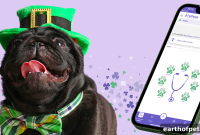 Keep Your Dog Calm at Holiday Parties with a Smart Collar