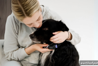 Wearable Pet Tech: Monitor Vital Signs and Activity