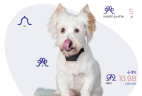 Is Your Dog in Pain? 8 Signs Every Owner Should Know