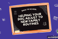 Help Your Dog Adjust to Back to School Family Routines