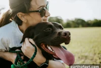 Senior Dog Care Guide: Keeping Older Dogs Happy and Active