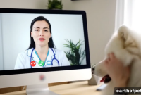 Online Vet Consultations for Dogs