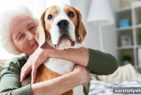 PetPace for Senior Dogs: Vet-Backed Results from Real Families