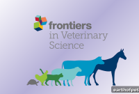 PetPace Reveals New Insights into Arthritis Pain in Dogs