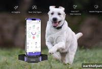 Pet Health Collar vs Activity Tracker: Which Suits Your Pet?