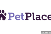 Smart Collars Revolutionize Pet Health Monitoring