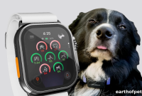 Monitor Your Pet With Apple Watch: Track Vitals and Activity
