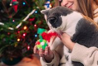 Holiday Gift Guide for Dogs and Cats