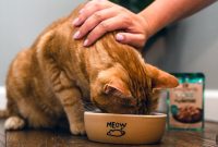 Improve Mealtime Satisfaction for Happier Family Meals