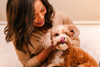When to Give Your Dog a Skin and Coat Supplement