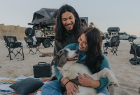 5 Signs Your Dog Is a Senior