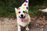 2023 Pet Holiday Calendar: Annual Celebrations
