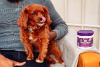Dog Allergy Nutrition: Diet Tips to Reduce Symptoms