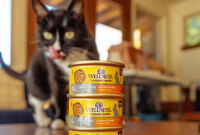 How Many Cans of Wet Cat Food Should Your Cat Eat Per Day?