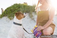 How to Choose the Right Dog Treats for Your Dog