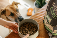 What Is Kibble? Dog and Cat Dry Food Explained