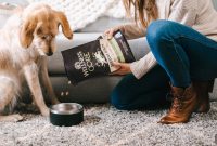 Vegetarian Dog Diet: Benefits, Risks, and Nutrition Tips