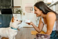 5 Expert Tips for a Balanced Dog Diet