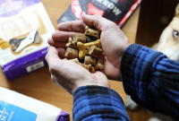 Dog Biscuits Guide: Recipes, Ingredients and Safety