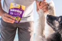 7 Proven Ways to Reward Your Dog for Good Behavior