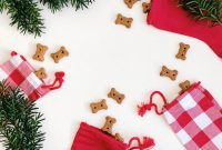 Unique Holiday Stocking Stuffers for Cats and Dogs