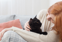 6 Little-Known Facts About Black Cats