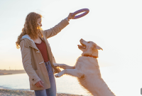 How Much Does Pet Insurance Cost?