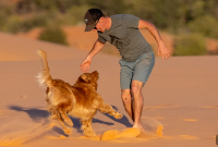 Dog Breeds for First-Time Dog Owners
