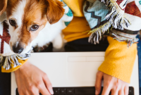 First-Time Puppy Owner Guide: Training, Potty and Behavior Tips