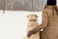 20 Times Pets Saved Lives in 2020