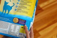 How Many Calories Should Your Cat Eat Per Day?