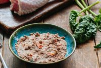 Is Wet Dog Food Right for Your Dog?