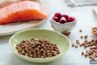 How to Choose the Right Dry Cat Food