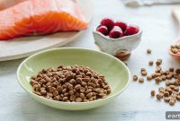 5 Essential Cat Food Ingredients Every Owner Should Know