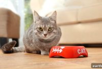 Flaked Cat Food: Textured Wet Meals for Picky Cats