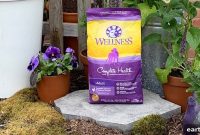 Complete Guide to Wellness Dry Dog Food Nutrition