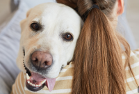 Protect Pets from Fireworks on July 4th
