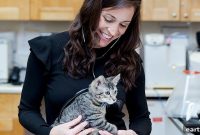 Why So Many Cats Never See a Vet