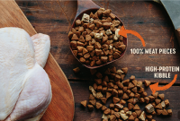 How to Choose the Right Dog Food Kibble