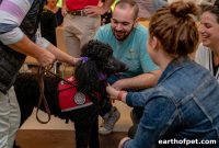 Volunteer at Animal Shelters: State-by-State Guide