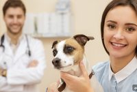Dog and Cat Cancer Symptoms: What Every Pet Owner Should Know