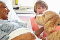 How to Certify Your Dog as a Therapy Dog