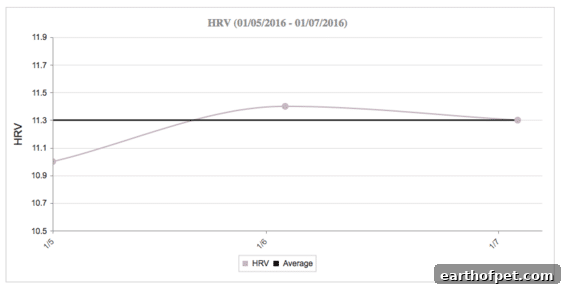 Daily heart rate variability (VVTI) improvement chart