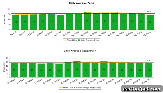 Daily average pulse and respiratory rates over several weeks
