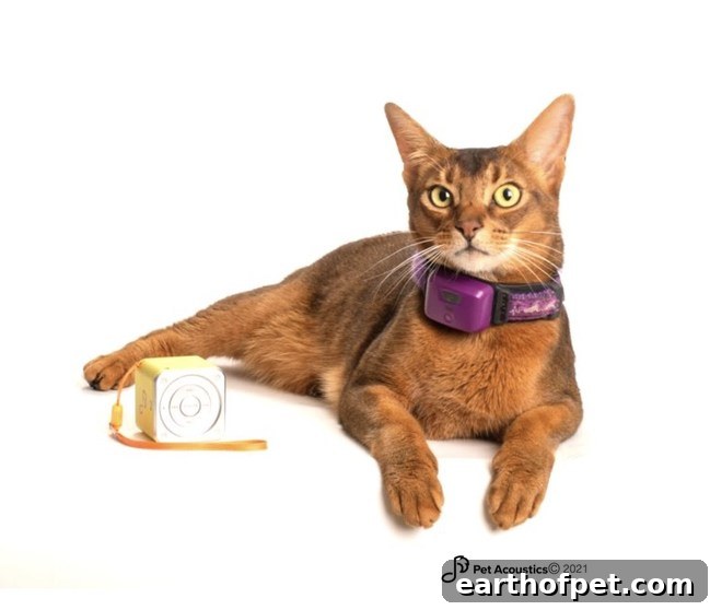 Pet Acoustics Biometric Study