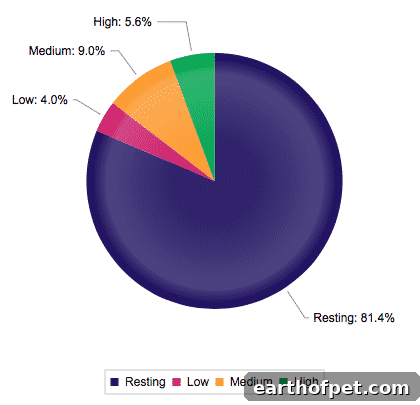 Dottie's accumulated activity data divided into intensity levels.