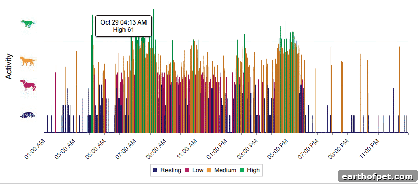 An example of a daily activity chart during boarding, showing high activity levels